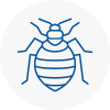 Bed Bug Extermination In Eaglescliffe